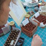 Anna working her way round the chocolate tasting morning